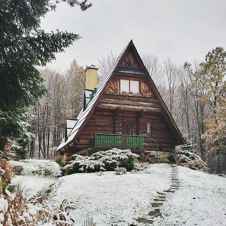 Kosarzowka Villa Bielsko-Biała Kültér fotó