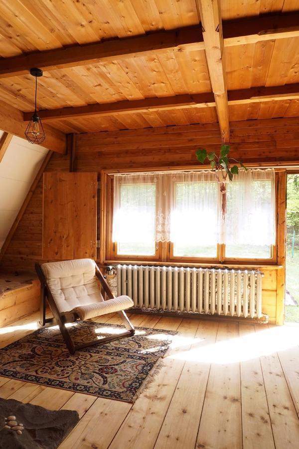 Kosarzowka Villa Bielsko-Biała Kültér fotó