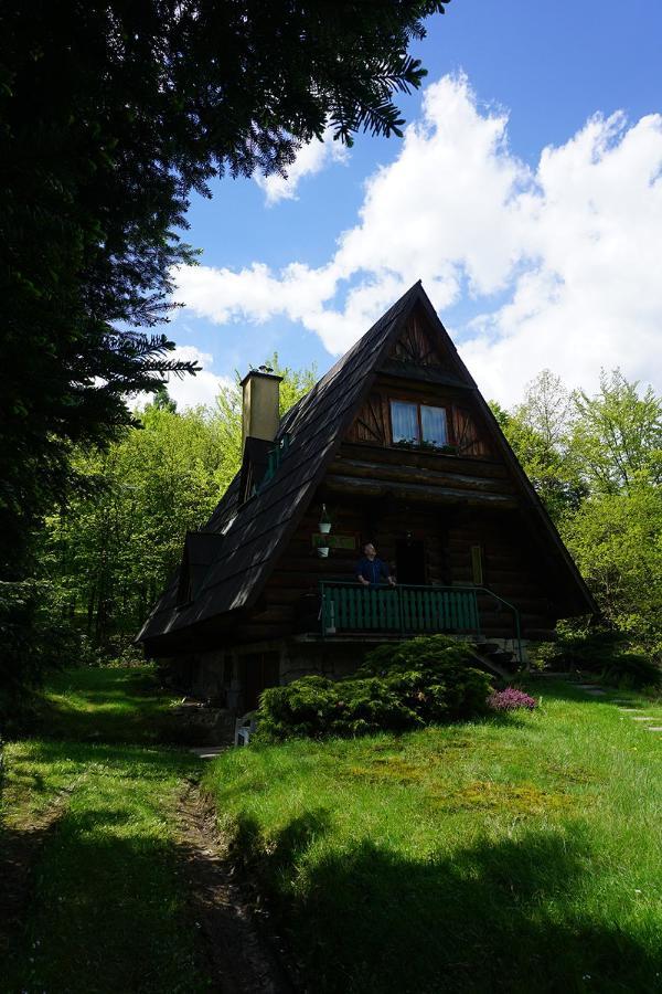 Kosarzowka Villa Bielsko-Biała Kültér fotó
