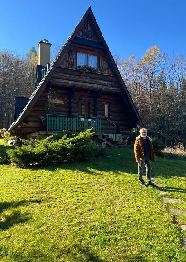 Kosarzowka Villa Bielsko-Biała Kültér fotó