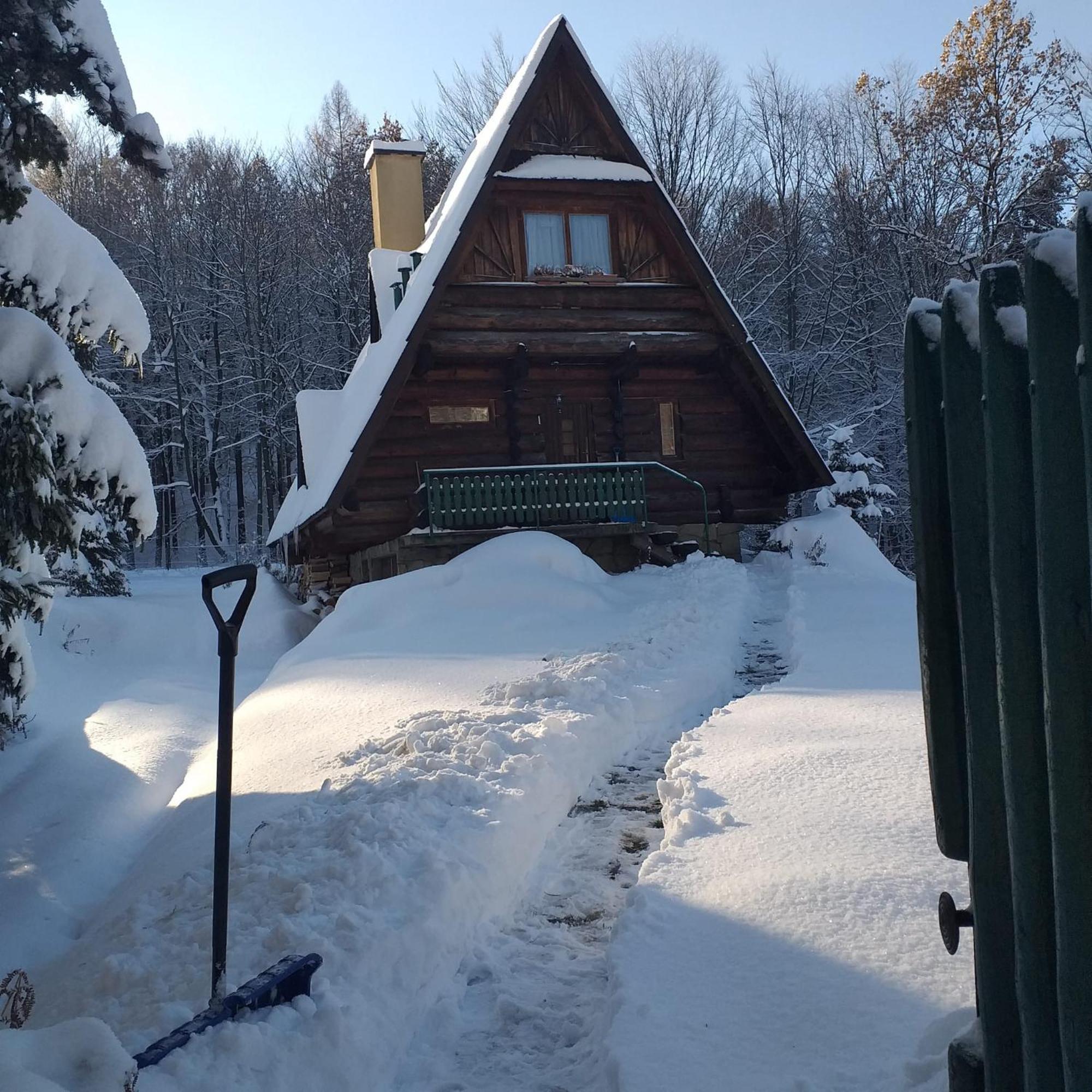Kosarzowka Villa Bielsko-Biała Kültér fotó